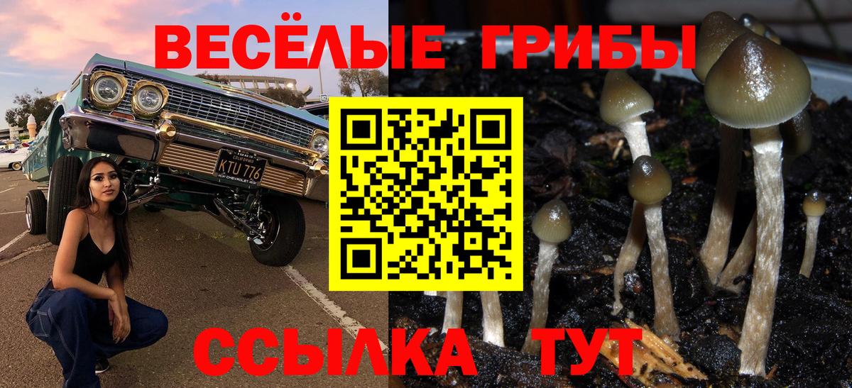 Галлюциногенные грибы ЛСД  Вход с VPN  Псилоцибиновые грибы мицелий  Ейск 