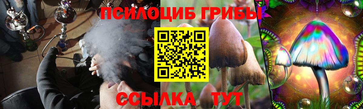 Галлюциногенные грибы мухоморы Ейск